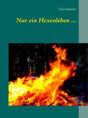 cover image of Nur ein Hexenleben ...